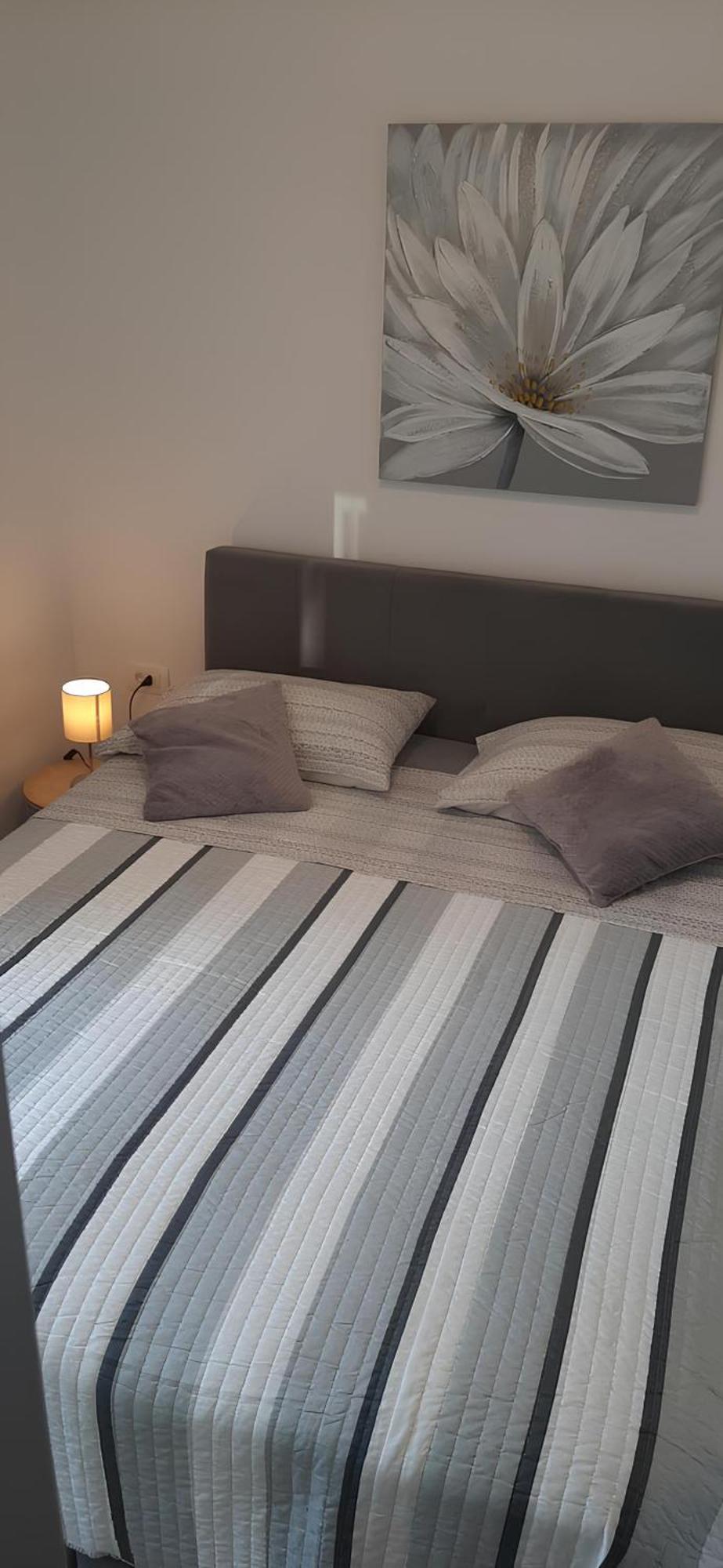 Apartment Puntamika Villa De Rosa - Ground Floor Zadar Zewnętrze zdjęcie